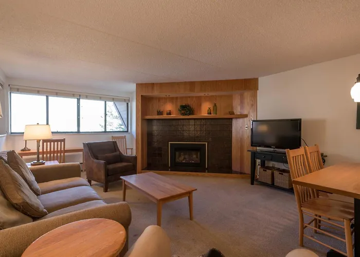 Spruce 296